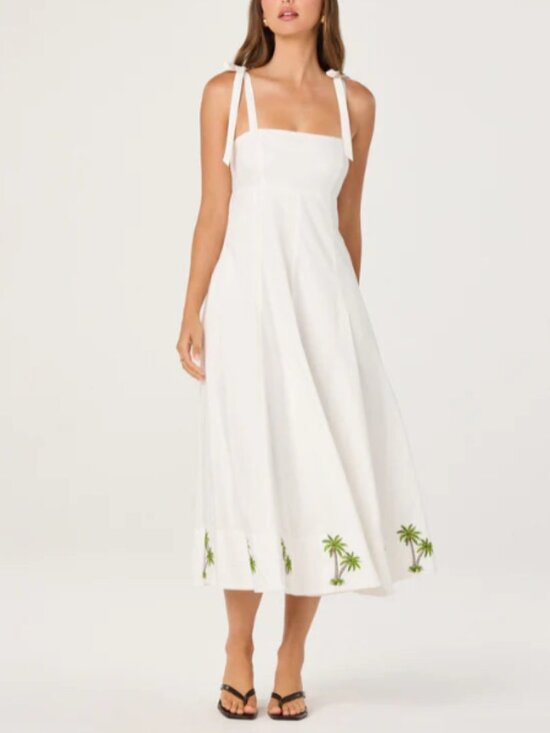 Astr Dresses & Skirts - ASTR Shiann Embroidered Midi Dress